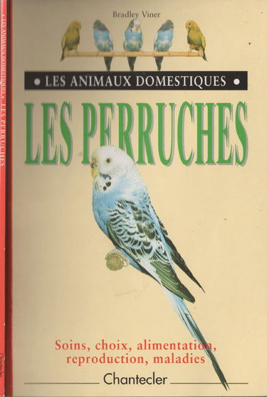 Les Perruches