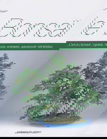 Le Bonsaï: L'art du bonsaï : origine, histoire, entretien, expression esthétique