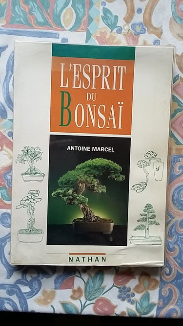 L'Esprit du bonsaï