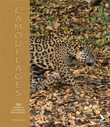 Camouflages : 100 animaux maîtres du déguisement