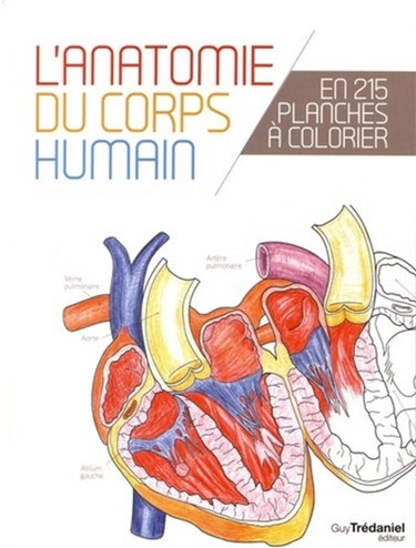 Couverture de Le corps humain : l'anatomie du corps humain en 215 planches à colorier