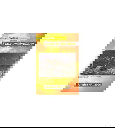 Ex-voto ar Mor-bihan : périples et naufrages de la petite mer