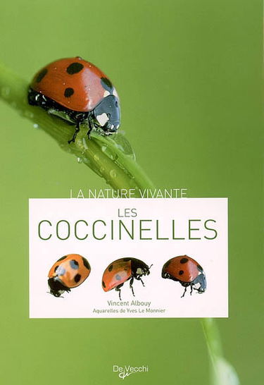 Les coccinelles
