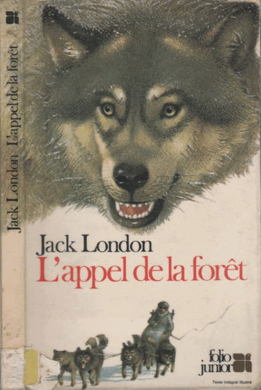 L'Appel de la forêt