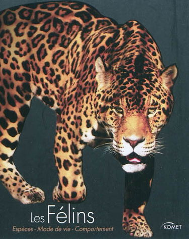 Les félins