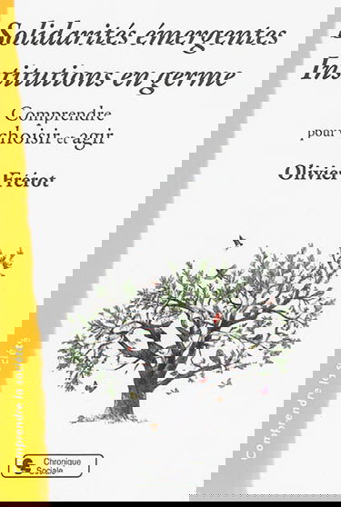 Solidarités émergentes, institutions en germe : comprendre pour choisir et agir