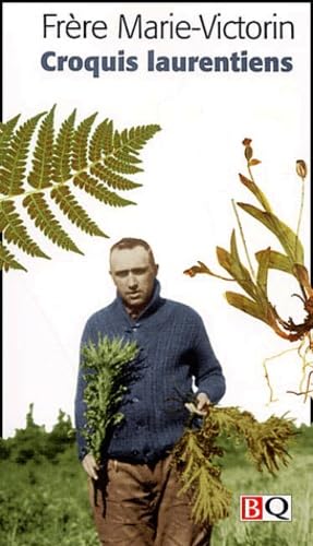Croquis laurentiens