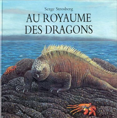 au royaume des dragons