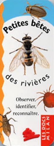Petites bêtes des rivières