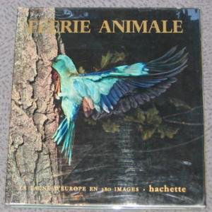 Féerie animale [Board book] [Jan 01, 1961] Roedelberger F.A., Groschff Vera I. and Collectif