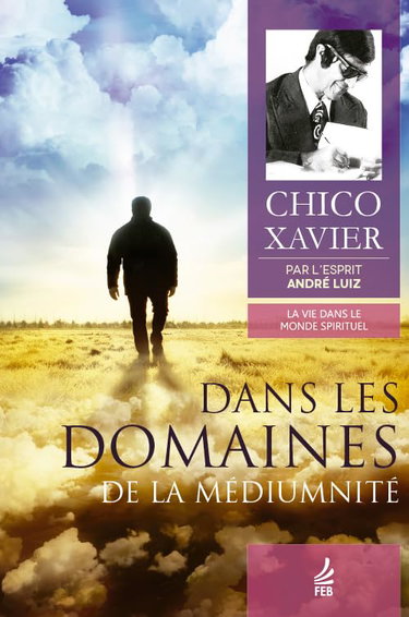 Couverture de Dans les domaines de la médiumnité