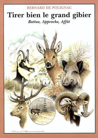 Couverture de Tirer bien le grand gibier : battue, approche, affût
