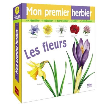 Mon premier herbier : les fleurs