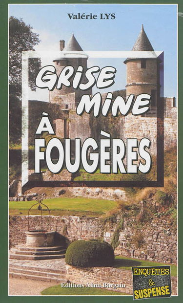 Grise mine à Fougères
