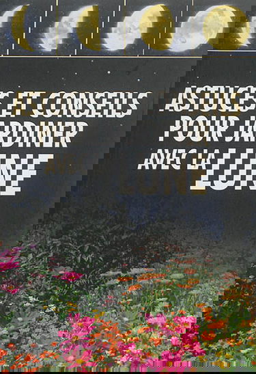 Astuces et conseils pour jardiner avec la Lune