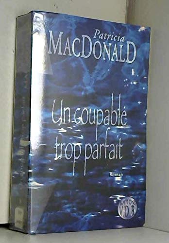 Un coupable trop parfait