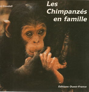 Les Chimpanzés en famille