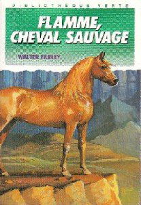 FLAMME CHEVAL SAUVAGE