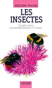 Insectes