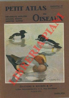 Couverture de Petit atlas des oiseaux. IV. Becasseux, goelands, canards, herons, impennes, ratites.