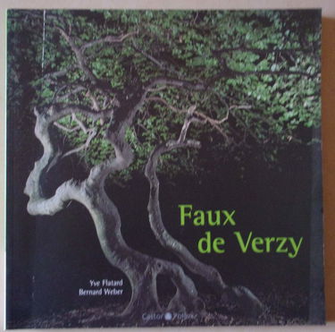 Faux de Verzy