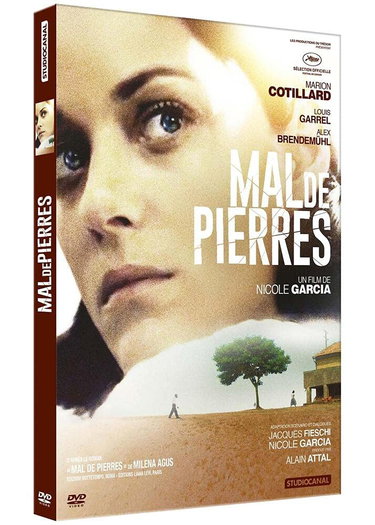 Couverture de Mal de Pierres