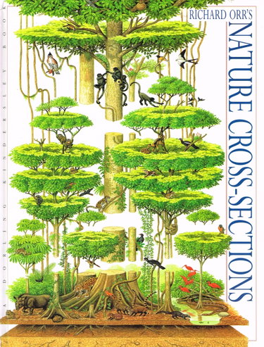 Couverture de Nature in Cross Sections
