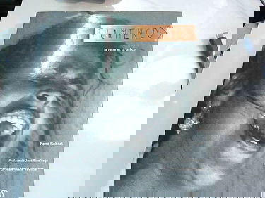 Flamencos : la rage et la grâce