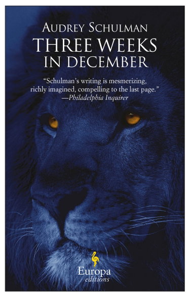 Couverture de Three Weeks in December