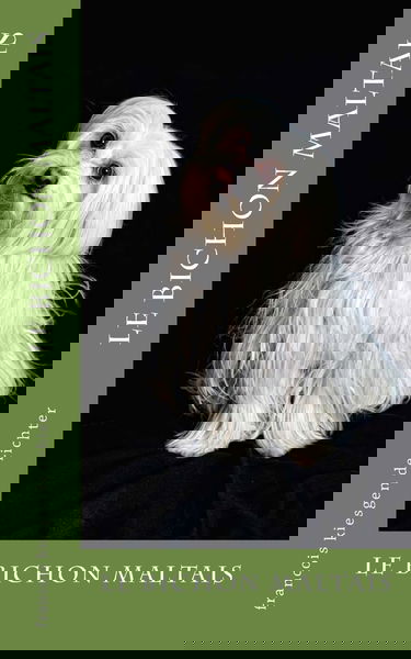 le bichon maltais
