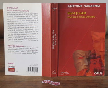 Bien juger : essai sur le rituel judiciaire
