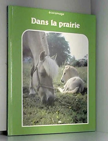 Dans la prairie