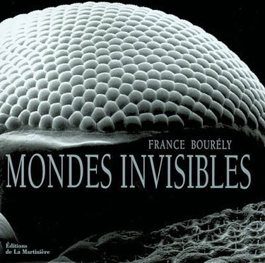 Mondes invisibles : éloge de la beauté cachée