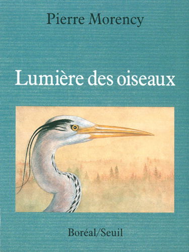 Lumière des oiseaux
