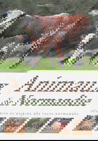 Animaux de Normandie : histoire et origine des races normandes