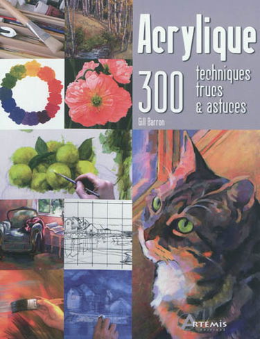 Acrylique : 300 techniques, trucs & astuces