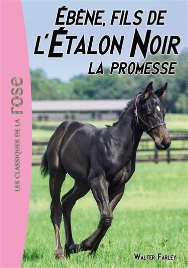 L'étalon noir. Vol. 21. Ebène, fils de l'étalon noir. La promesse