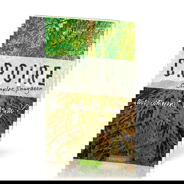 Croire: quoi, comment... en qui ?