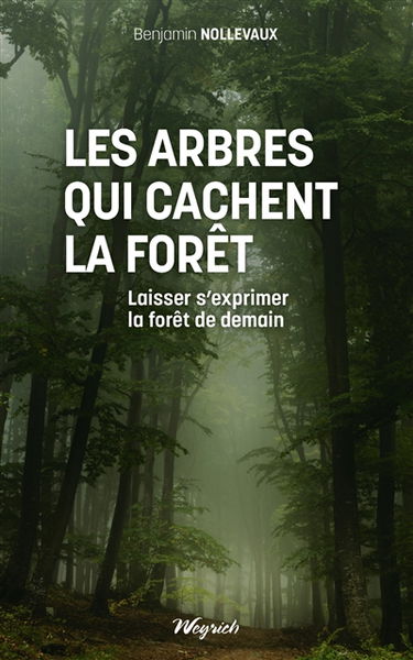 Les arbres qui cachent la forêt : laisser s'exprimer la forêt de demain