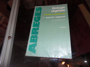 Biologie végétale : plantes supérieures