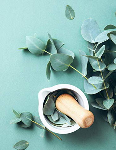 Anamnèses Naturopathie: Carnet Pour Naturopathes et Thérapeutes | 100 Fiches Patients Pour y Consigner Vos Bilans | Grand Format 21,59 x 27,94 cm