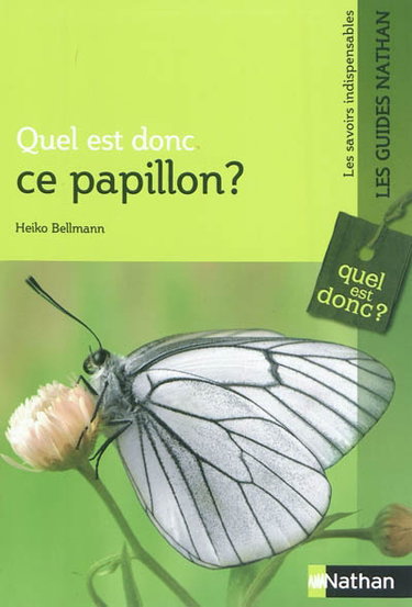 Quel est donc ce papillon ?