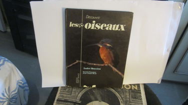 Découvrir les oiseaux