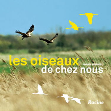 Les oiseaux de chez nous : alouettes, bouvreuils, martinets, geais, cigognes, faucons pèlerins...