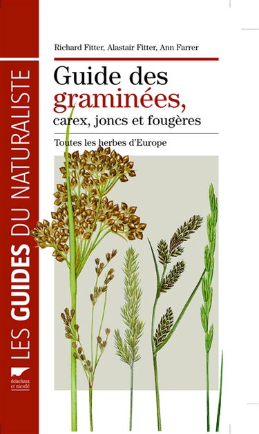 Guide des graminées, carex, joncs et fougères : toutes les herbes d'Europe