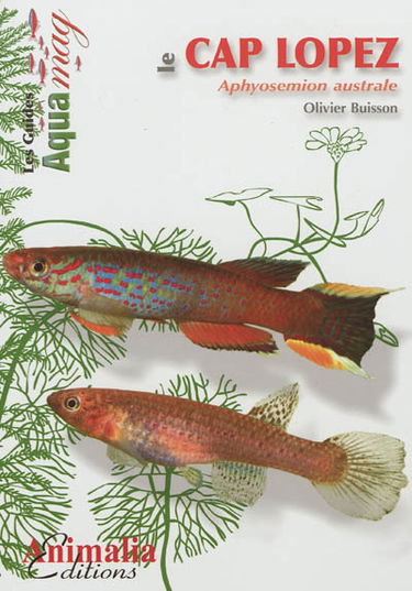 Le Cap Lopez : Aphyosemion australe