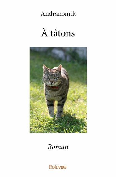 Couverture de À tâtons - roman