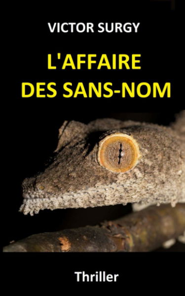 L'AFFAIRE DES SANS-NOM