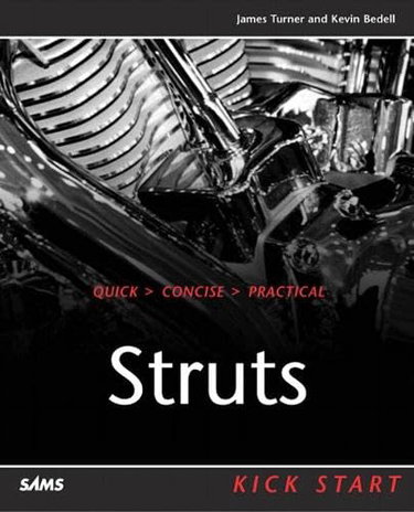 Couverture de Struts