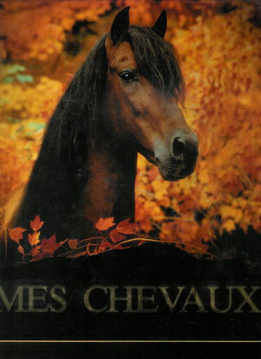 Vavra mes chevaux
